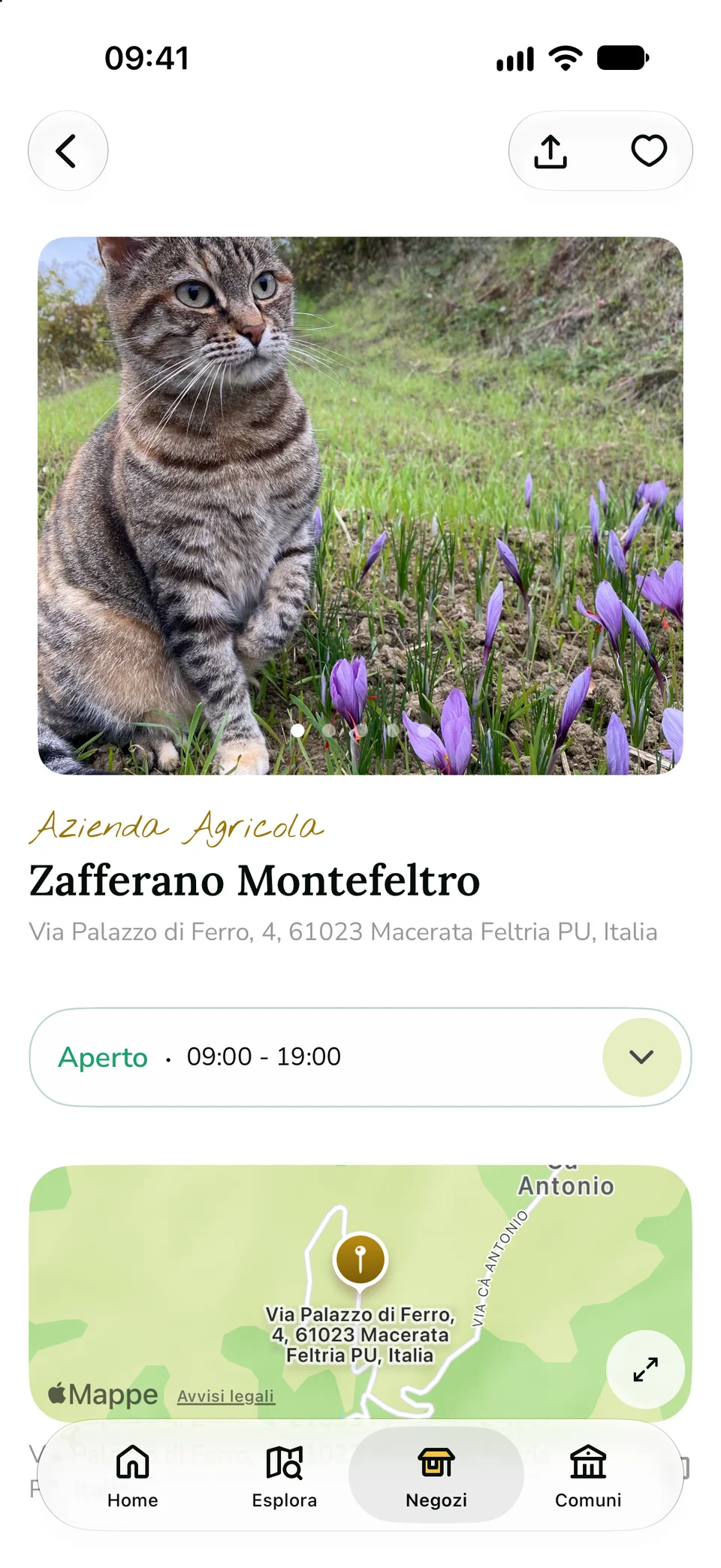 La pagina di Zafferano del Montefeltro